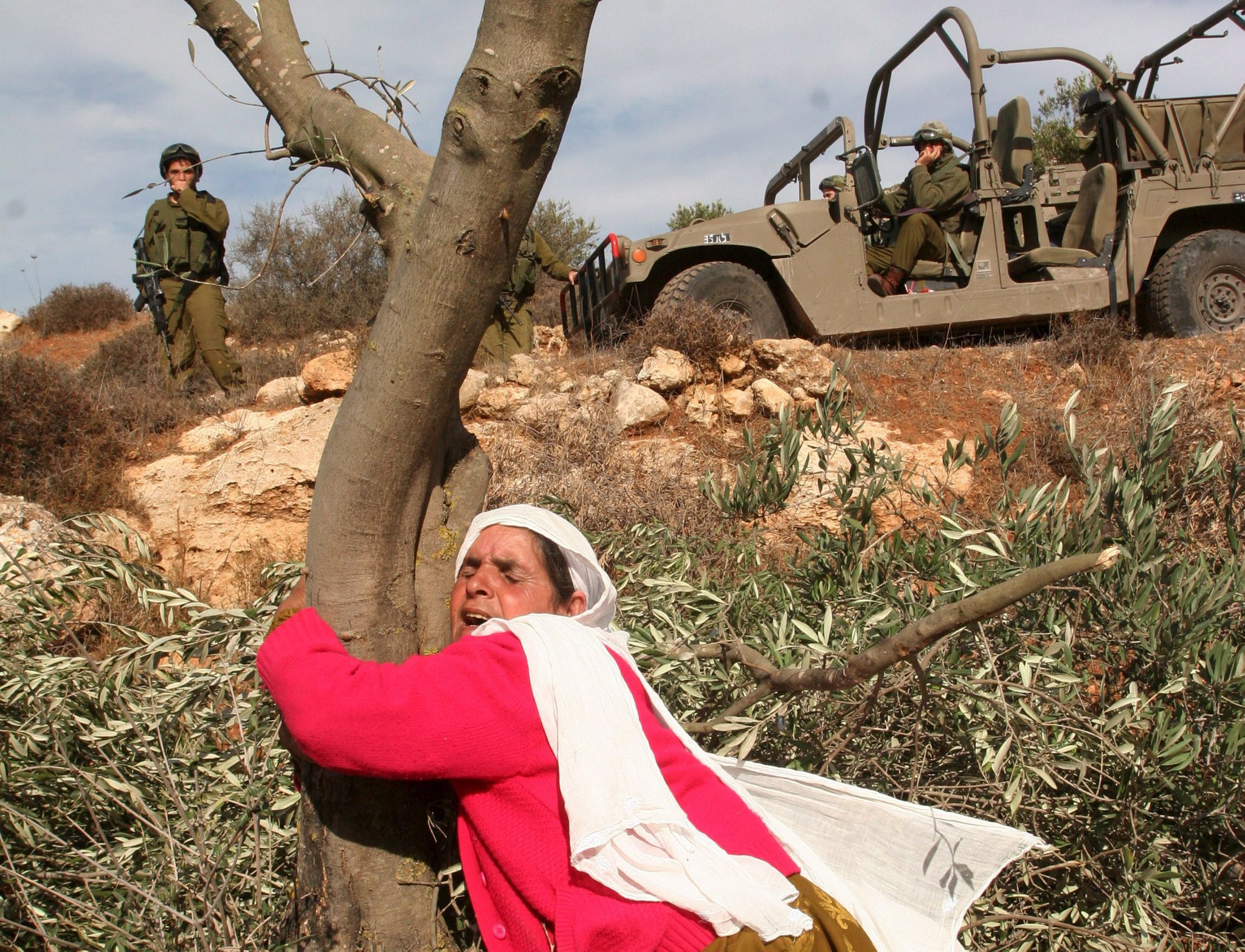 Gruppo diritti umani palestinese: “Cessazione ordini detenzione amministrativa per coloni li pone sopra qualsiasi responsabilità legale”